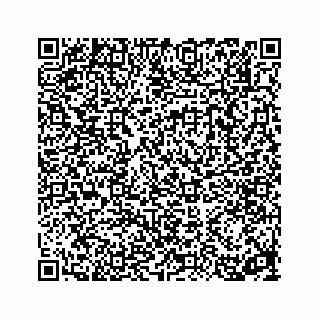 vCard 78314166528