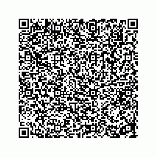 vCard 78314290373