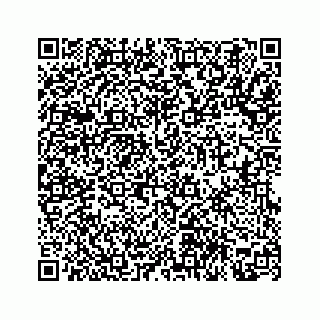 vCard 78314290381