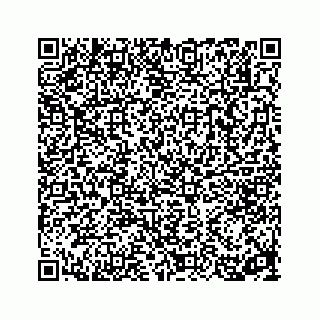 vCard 78314290390