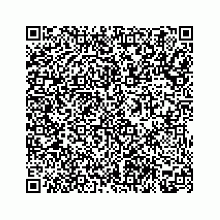 vCard 78314373021