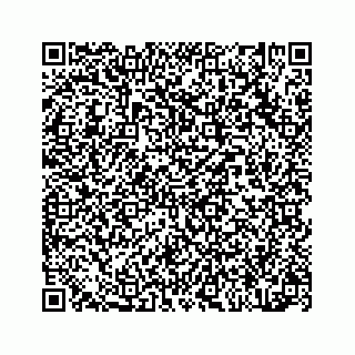 vCard 78314440080