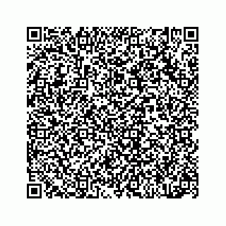 vCard 78314440249
