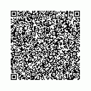 vCard 78314440311
