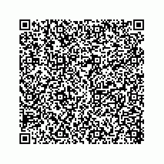 vCard 78314440319