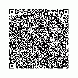 vCard 78314440379