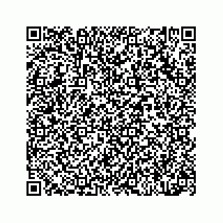 vCard 78314440381