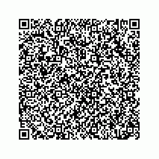 vCard 78314440382