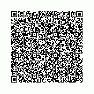 vCard 78314440385