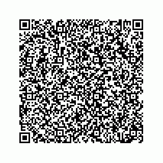 vCard 78314440387