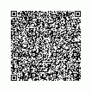 vCard 78314449081