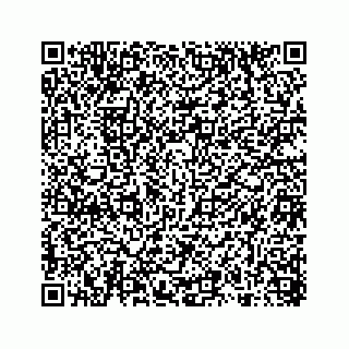 vCard 78314449119