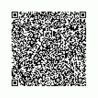 vCard 78314449249