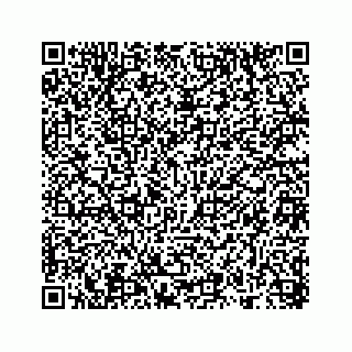 vCard 78314449267