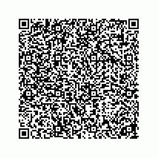 vCard 78314449319