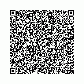 vCard 78314449331