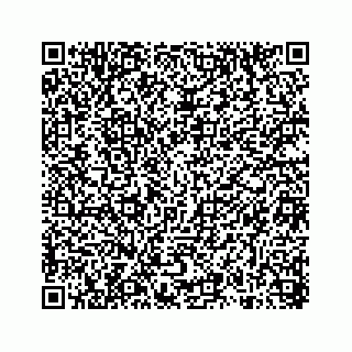 vCard 78314449378