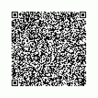 vCard 78314449381