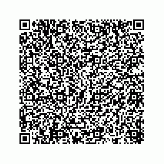vCard 78314449387