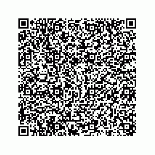 vCard 78314449399