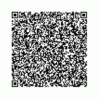 vCard 78314450281