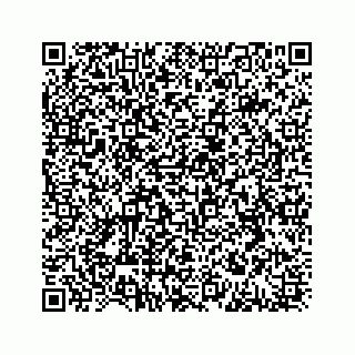 vCard 78314450384