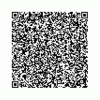 vCard 78314720029