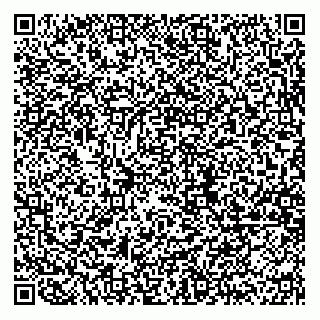 vCard 78314720101