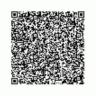 vCard 78314720385