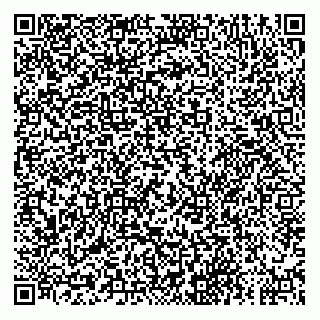 vCard 78314790377