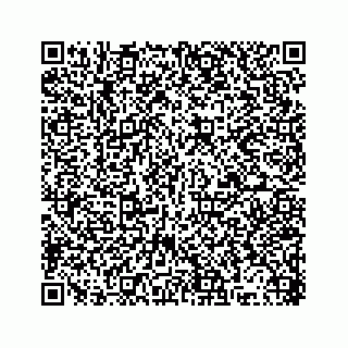 vCard 78314941411