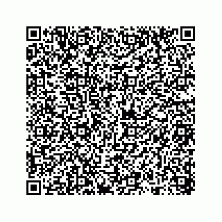 vCard 78314998133