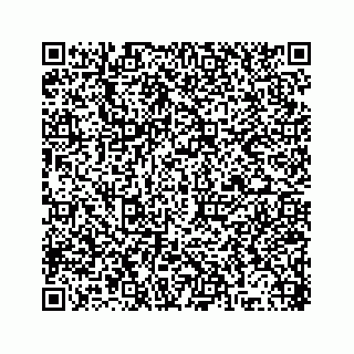vCard 78315341113
