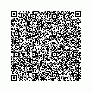 vCard 78315341173