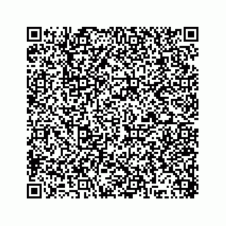 vCard 78315341299
