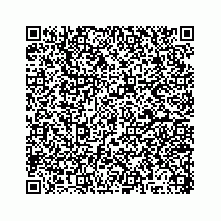 vCard 78315341300