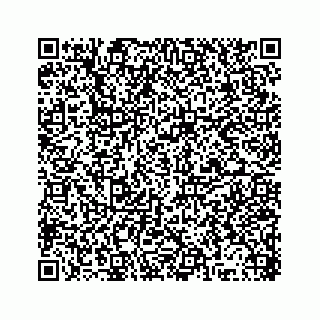 vCard 78315341339