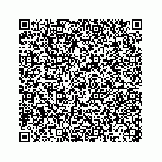 vCard 78315341373