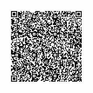 vCard 78315341381