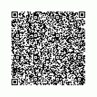 vCard 78315341804