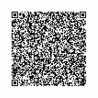 vCard 78315341875