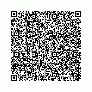 vCard 78315341910