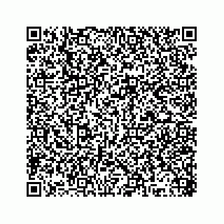 vCard 78315341981