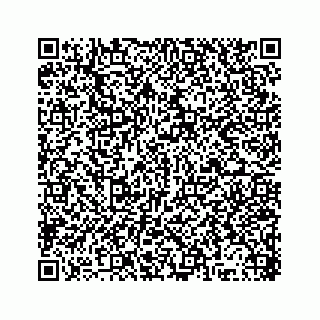 vCard 78315341985
