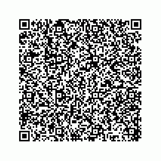 vCard 78315341999
