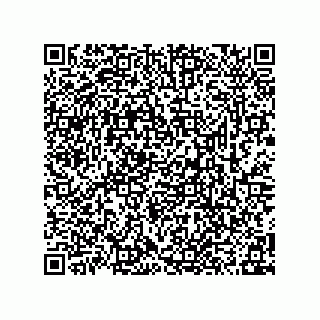 vCard 78315936080
