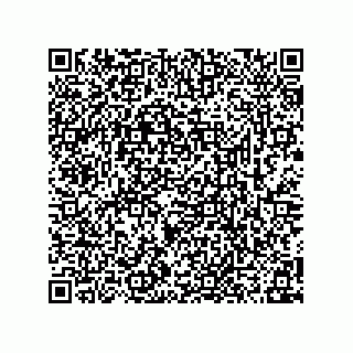 vCard 78315936103