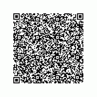 vCard 78315936381