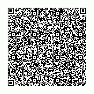vCard 78315990513