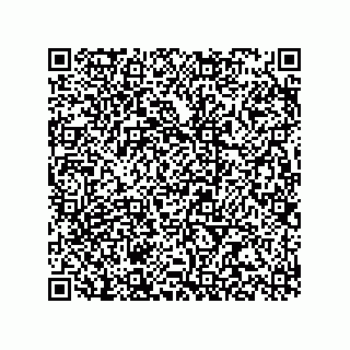 vCard 78315992379
